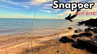 Land Based FISHING Port Phillip Bay-Davey’s Bay BEACH Snapper  | MELBOURNE ✅