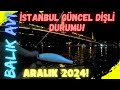 İSTANBUL AZAPKAPI DİŞLİ AVI! GÜNCEL BALIK DURUMU! ARALIK 2024