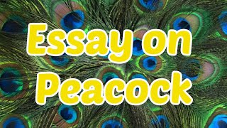 Essay on Peacock- 10 simple lines essay for kids-My favorite Bird
