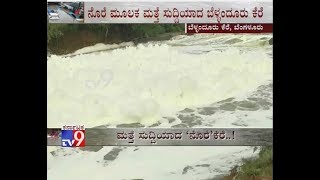 Bellandur Lake Spews Toxic Froth After Heavy Rains In Bangalore