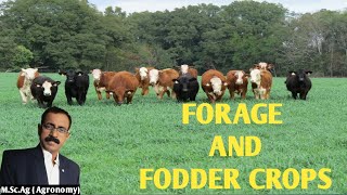 FORAGE AND FODDER CROPS