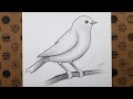 How to Draw Bird, Step by Step Bird Drawing