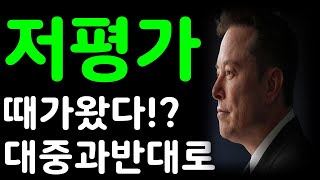 테슬라 저평가?! 때가왔다! 대중과반대로