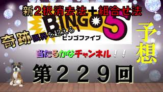 【ビンゴ5当たるかな予想】第229回の予想 ！！新２択消去法+組合せ法