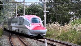 秋田新幹線 E6系3017Mこまち17号　小岩井駅通過　2014年9月22日