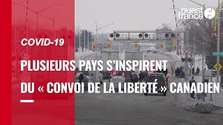 « Convoi de la liberté » : plusieurs pays s’inspirent du mouvement canadien