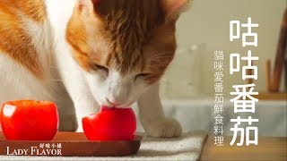 咕咕番茄，貓咪也愛番茄喔～【貓副食食譜】好味貓廚房EP73