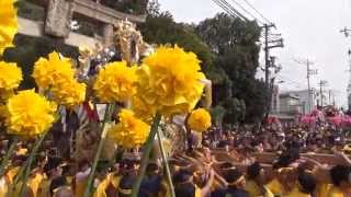 2014年 津田天満神社秋祭り本宮 今在家宮入