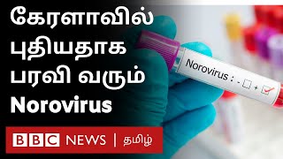 கேரளாவில் 13 பேரை பாதித்துள்ள Norovirus எப்படி பரவுகிறது? எச்சரிக்கையாக இருப்பது எப்படி?