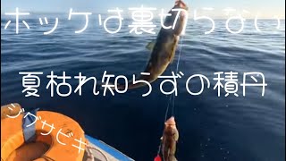 ホッケ釣り夏枯れなんか怖くない積丹沖はボーズ知らず！ゴムボート釣り