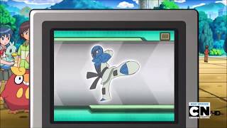 Sawk Pokédex Entry - The Tower Of Success