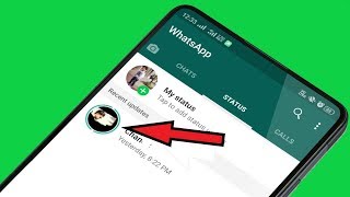Best Unknown Secret Tricks in Whatsapp!!