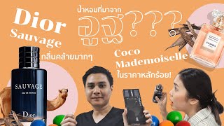 EP.2 มีร้านน้ำหอมดูไบในไทยด้วยหรอ... แล้วน้ำหอมเขาทำมาจากอูฐจริงๆดิ?