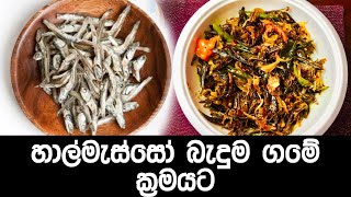 හාල්මැස්සෝ බැදුම | හරිම ලේසියෙන් මේ විදිහට හදලා බලන්න | halmasso baduma | nira s