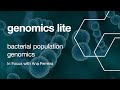 Genomics Lite: Bacterial Population Genomics