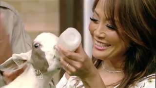 Ryan & Carrie Ann Inaba Meet Baby Animals