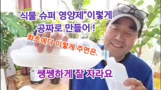 쌀뜨물의 놀라운 비료 효과 (식물 영양제 만드는 방법! 너무 쉽고 간단합니다! )