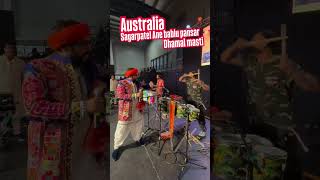 Australian #trending sarkari#sagar patel #babalu pansar#trending sarkari# sarkari ridham 2024