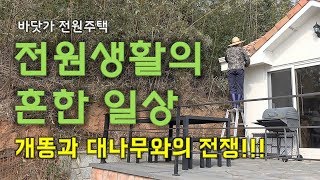 전원생활의 흔한 일상 - 매주 주말이면 일상처럼 하는 일들을 소개해 드릴게요~