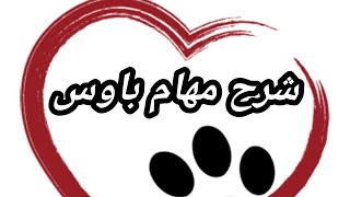 شرح طريقة حل مهمة باوس Paws 🐾 الجديدة ومهمة بمليون نقطة !!