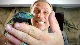 UNBOXING A BABY BLACK THROAT MONITOR LIZARD!! I AM SO EXCITED!! | BRIAN BARCZYK