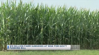 $10 Billion Farm Subsidies At Risk For Government Funding Bill