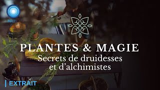 Spagyrie \u0026 plantes du jardin pour se soigner - Documentaire (Extrait)