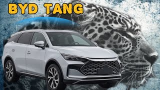 BYD tang or Military tank? What gives it this name?