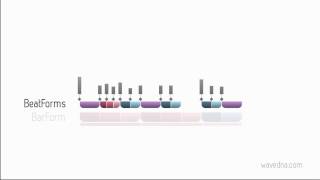 Liquid Rhythm Tutorial: Theory Concepts