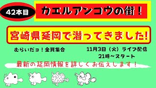 42本目 むらいだョ！全員集合 　宮崎県 延岡の海で潜ってきました！詳しく紹介しまーす。