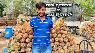 Karnataka's King Pineapple Vs Kerala Queen Pineapple | Tasting Finest Pineapples at Magadi Road