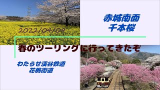 赤城南面千本桜・わたらせ花桃街道 春のツーリングに行ったぞ