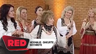 Nexhmije Pagarusha, Shkurte Fejza, Shyhrete Behluli