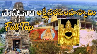 Mangalagiri Panakala Lakshmi Narasimha Swamy Temple||panakala swamy temple vlog #triptraveller