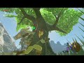 9【三人称】ドンピシャとゼルダの伝説 ブレス オブ ザ ワイルド【switch版】