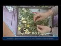 kurumuş çiçeklerden süs yapma how to use dried flowers making ornaments