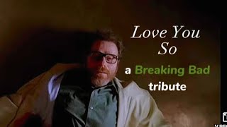 Breaking Bad Tribute  | Love You So by The Walters
