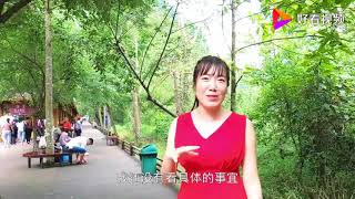 中国5A级旅游景区贵州荔波小七孔，一路上都是水，真的是神仙美景