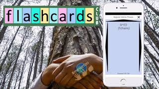 Flashcards Club app - Create/Share Flashcards!