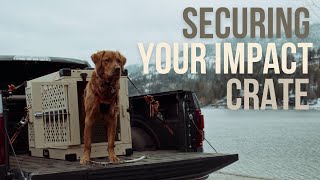 How To Secure Your Impact Dog Crate In A Truck Bed