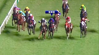 Zac Purton Inquiry 潘頓研訊 Re: Nebraskan 獵寶勤（J304)