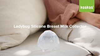 Haakaa Ladybug Breast Milk Collector