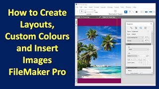 2.0 How to Create Layouts, Custom Colours and Insert Images in FileMaker