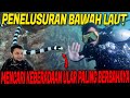 DEMI TEMUKAN ULAR LAUT BERBISA MEMATIKAN !! PANJI MENYELAM KE DASAR LAUT KOTA BONTANG