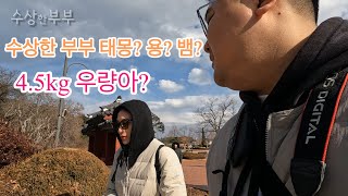 (쿠키있음) 강릉 EP.3 철뚝소머리국밥 / 인솔트베이커리 / 오죽헌 / 구미 / 금오산 / 현대장칼국수 / 강릉닭강정 인솔트베이커리