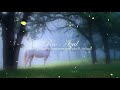 Música Celta de Flauta, Arpa y Piano • Música Relajante para Meditar y Relajarse (Forest Whisper)