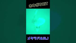 ホウボウ捕食シーン水中動画！#slj  #釣り #タイラバ   #ジギング #バンブルジグ #fishing #水中映像 #水中動画  #水中撮影 #ヒラメ