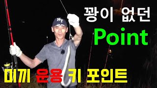 꽝이 없던 포인트  미끼 운용이 키 포인트 Eel fishing