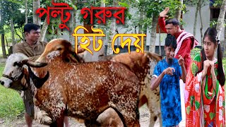 পল্টুর গরুর হিট আইছে / poltur gorer hit aica / 2023