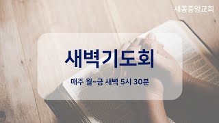 세종중앙교회 새벽기도회 221101